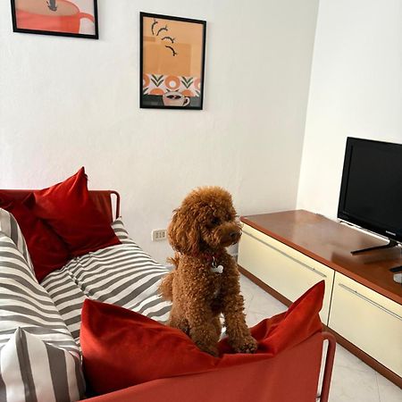 Casa Dell'Opera Apartman Pesaro Kültér fotó